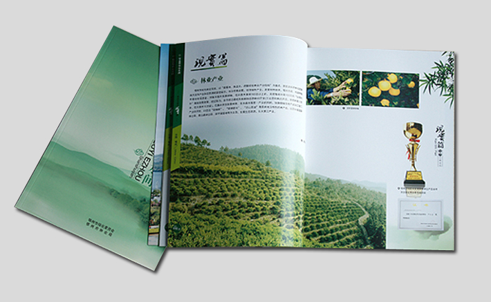 ff914ba825a735197ee990da0466dd28_20140122B88HHTDPZ0.jpg